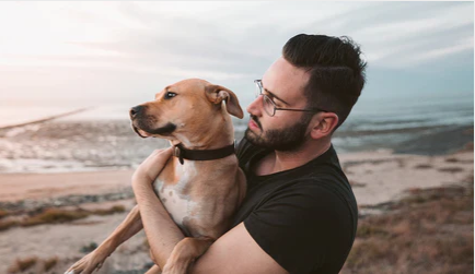 What is the Science Behind the Safe Quiescent Current of the Dog Training Collar?