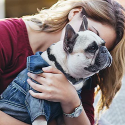 How to use dog training collar correctly!
