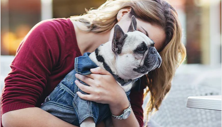 How to use dog training collar correctly!