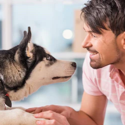 Have You Ever Noticed Rebellious Puberty Periods in Dogs' Life?