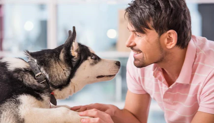 Have You Ever Noticed Rebellious Puberty Periods in Dogs' Life?