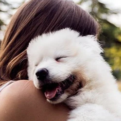 How to Say ‘I Love You’ to Your Dog?