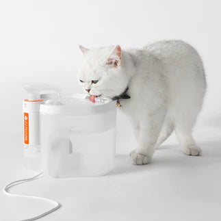 Pet Water Fountain