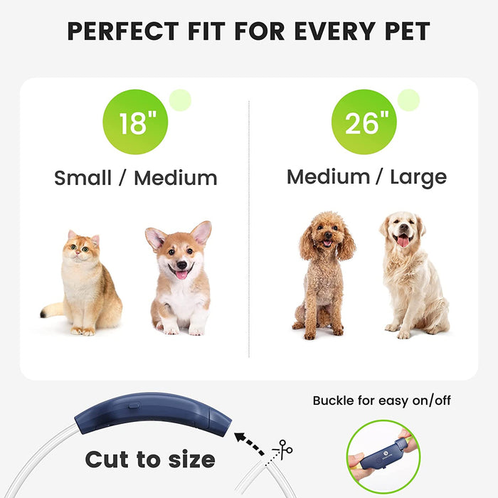 DOG CARE LED Dog Collar - ozdogcare