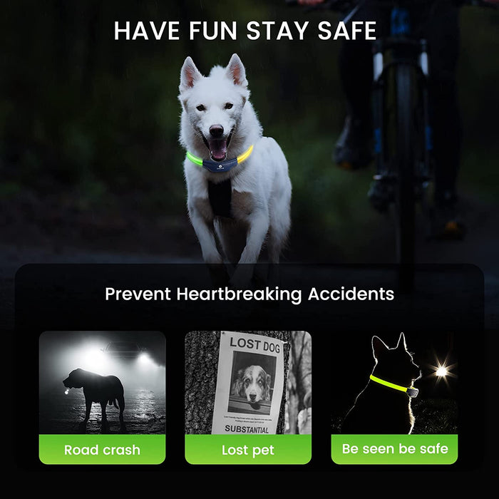 DOG CARE LED Dog Collar - ozdogcare