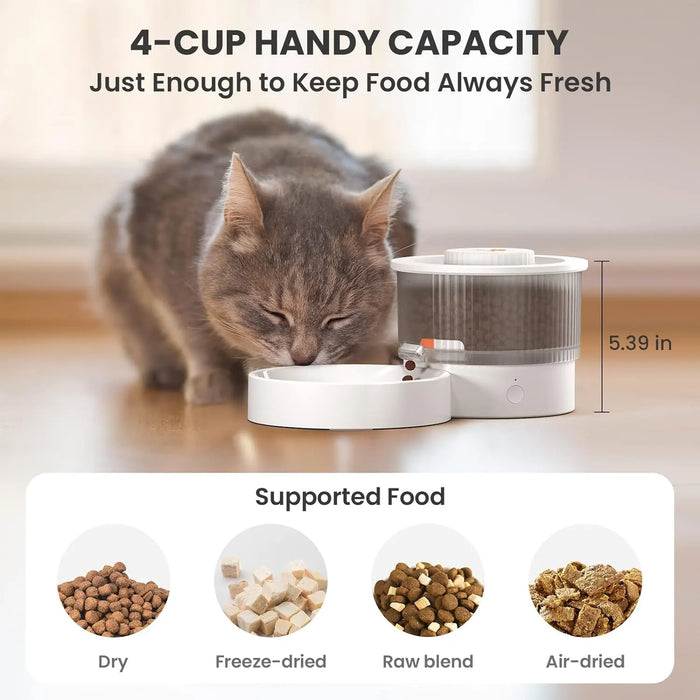 ASF02 Automatic Pet Feeder Cat and Dog Dispenser Bluetooth Smart Remote
