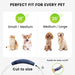 DOG CARE LED Dog Collar - ozdogcare