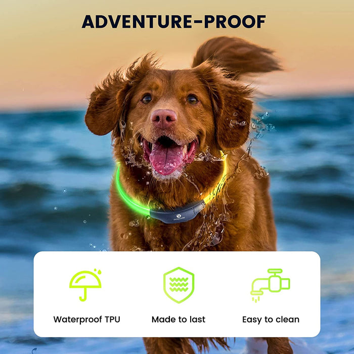 DOG CARE LED Dog Collar - ozdogcare