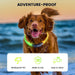 DOG CARE LED Dog Collar - ozdogcare